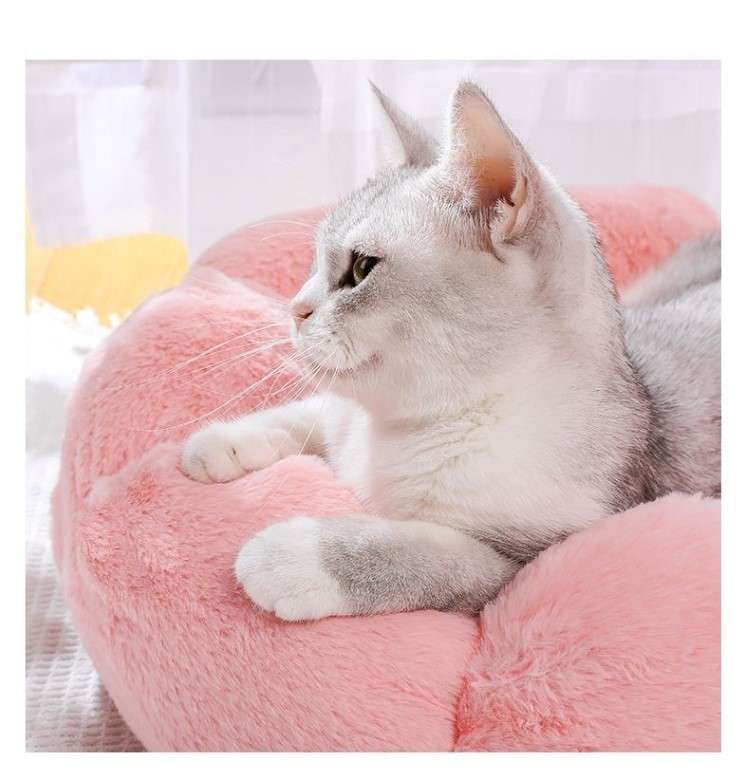 ペットマット 猫用もこもこフラワーベッド
