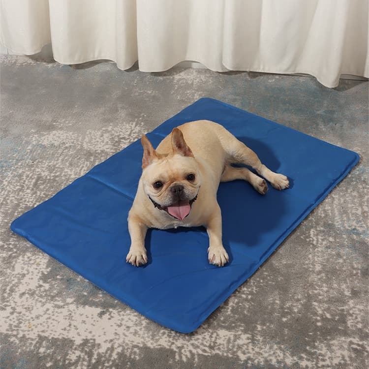 ペットマット 犬用 ひんやり涼感パラダイスマット