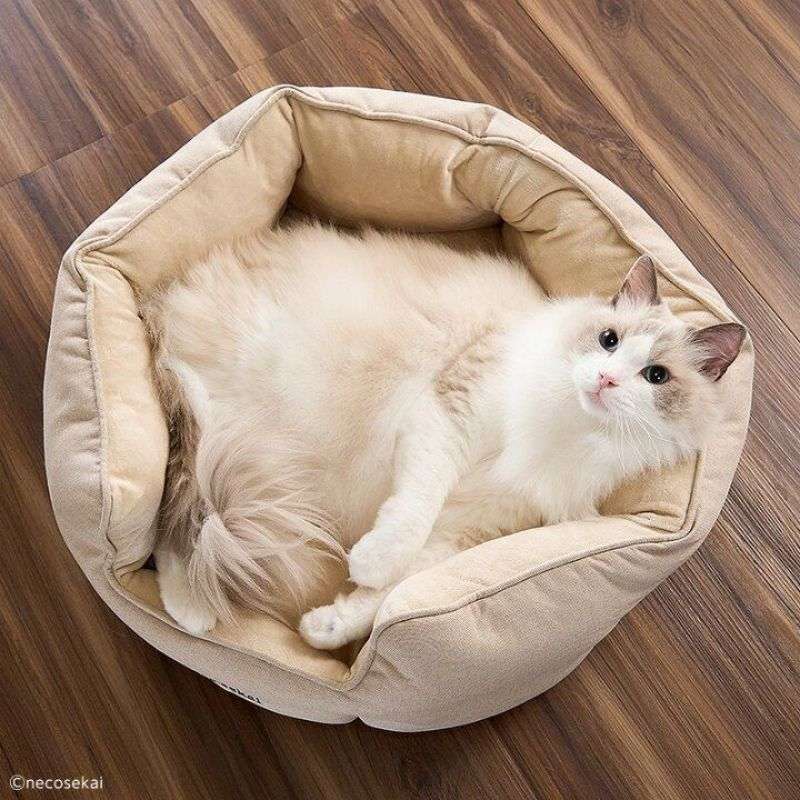ペットマット 猫用 もふもふベッド ねこのねぐら