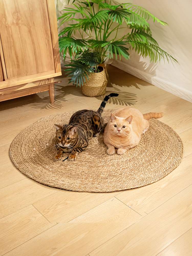 ペットマット 猫用 天然蒲草の癒しマット