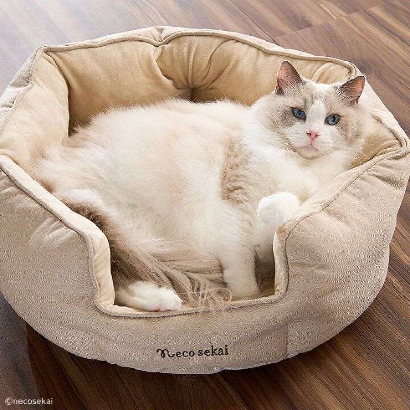 ペットマット 猫用 もふもふベッド ねこのねぐら