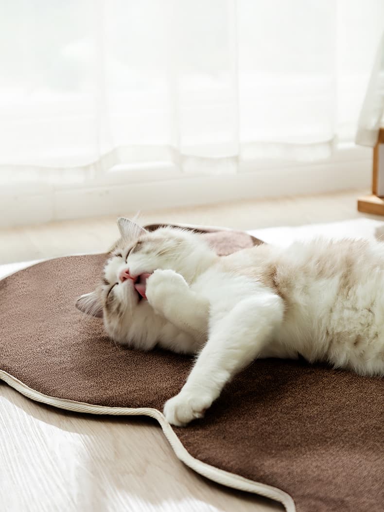 ペットマット 猫用 ふわもこ眠り心地マット