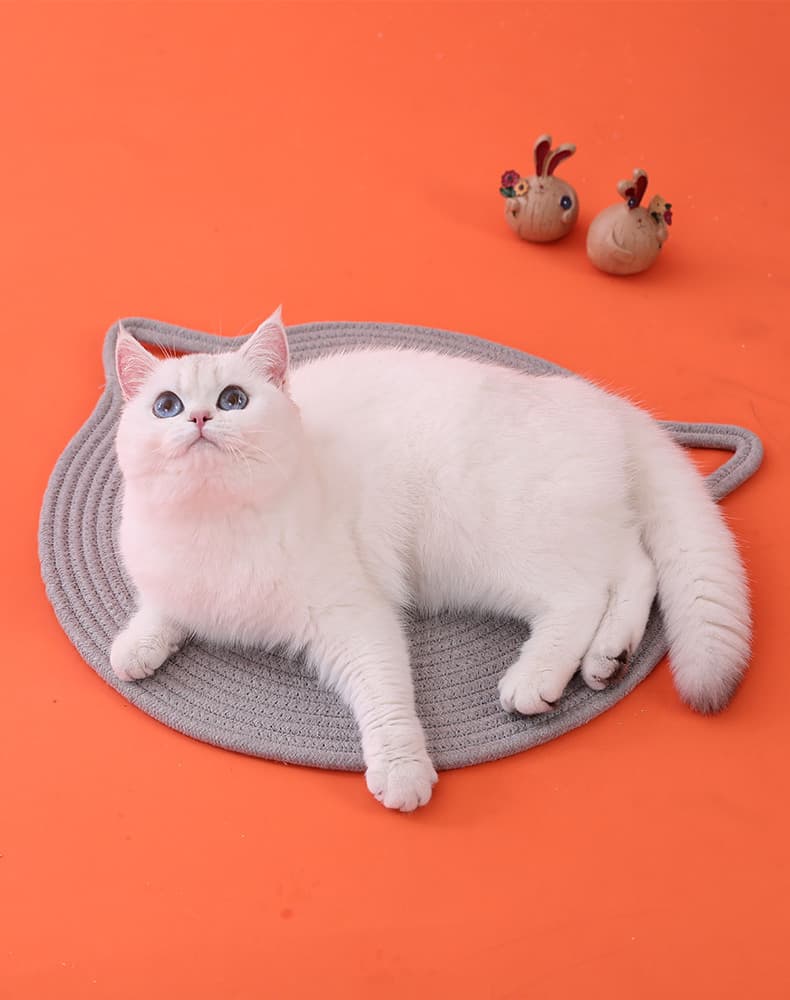 ペットマット 猫用 フルーツスイーツ風マット