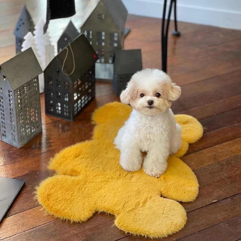 ペットマット 犬用 もこもこクマ型マット