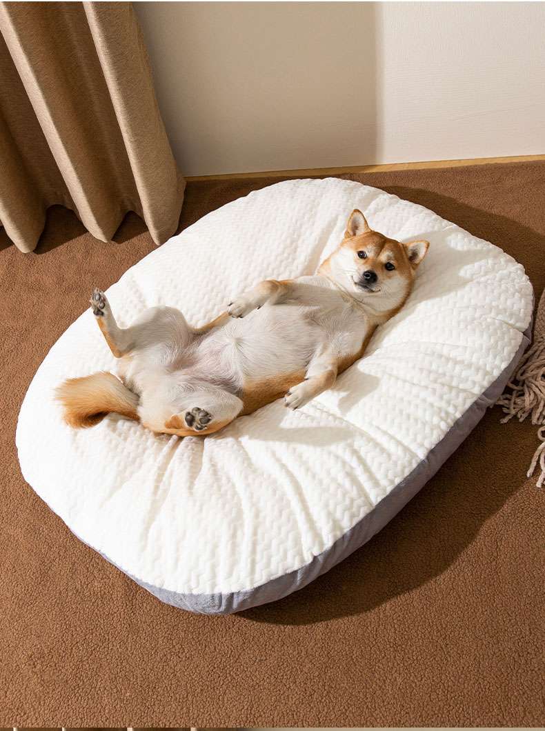 ペットマット 犬用 ふんわり雲の休息マット