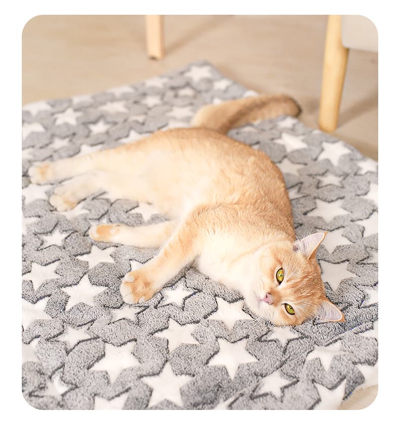 ペットマット 猫用 星空おやすみラグマット