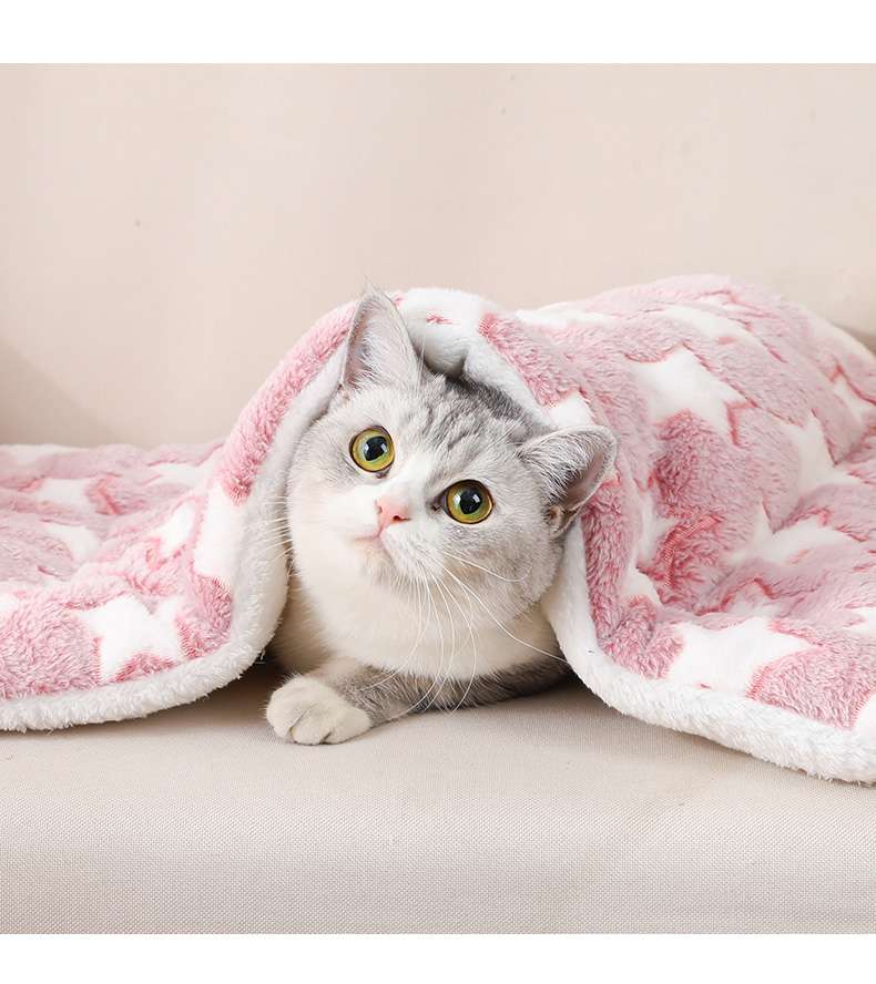 ペットマット 猫用 ふんわりフリル付きマット