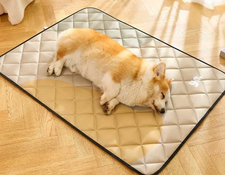 ペットマット 犬用快適マット 四季対応型