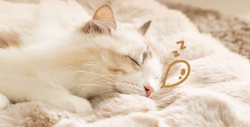 ペットマット 猫用 もこもこ贅沢な安眠マット