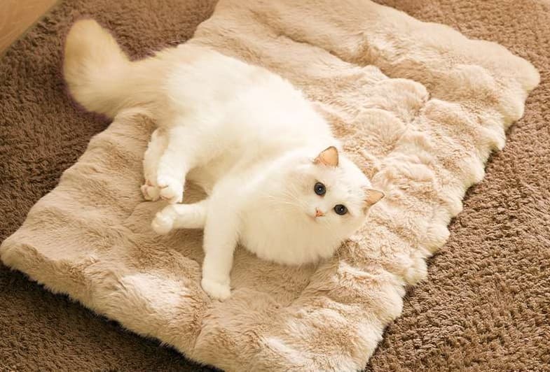 ペットマット 猫用 もこもこ贅沢な安眠マット