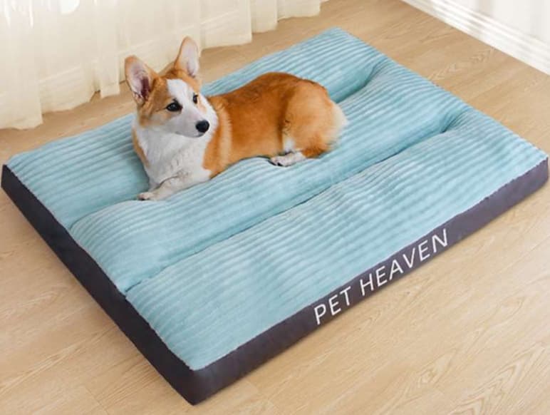ペットマット 犬用 ふんわりパラダイスマット