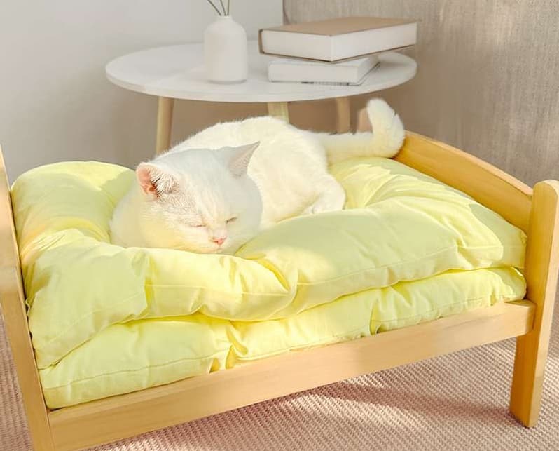 ペットマット 猫用 ふんわりもちもちマット