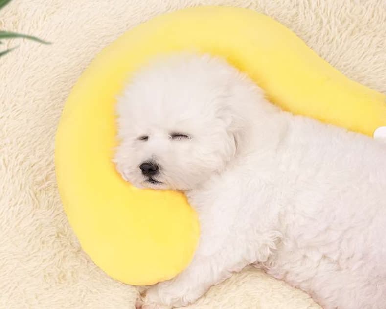ペットマット 犬用 もちもちけい寝ぶくろマット