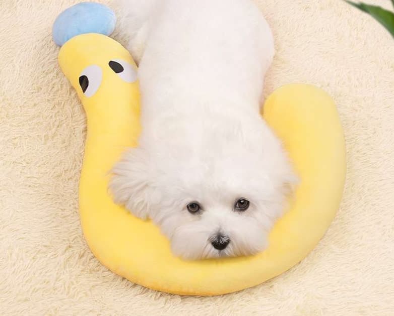ペットマット 犬用 もちもちけい寝ぶくろマット