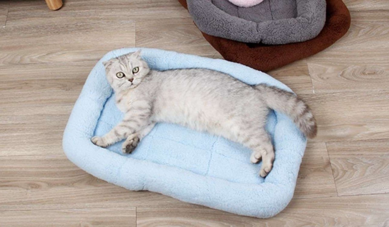 ペットマット 猫用 もこもこ四季マット