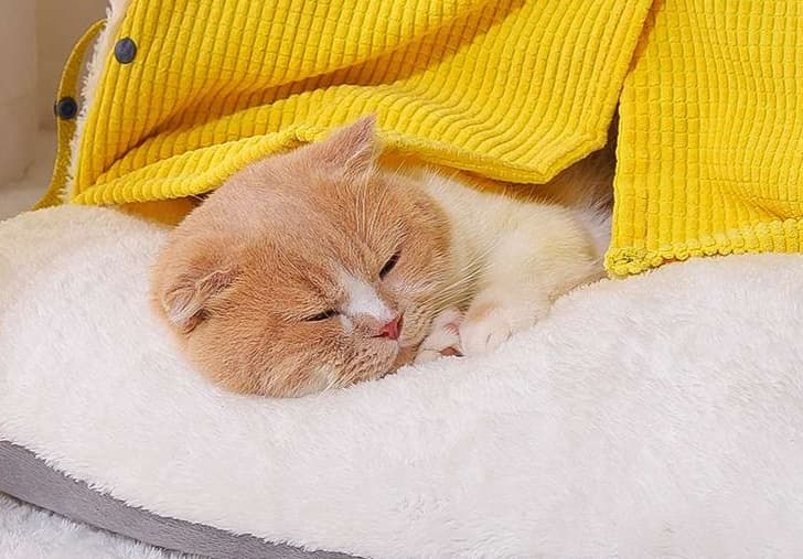 ペットマット 猫用 もちもちテント型マット