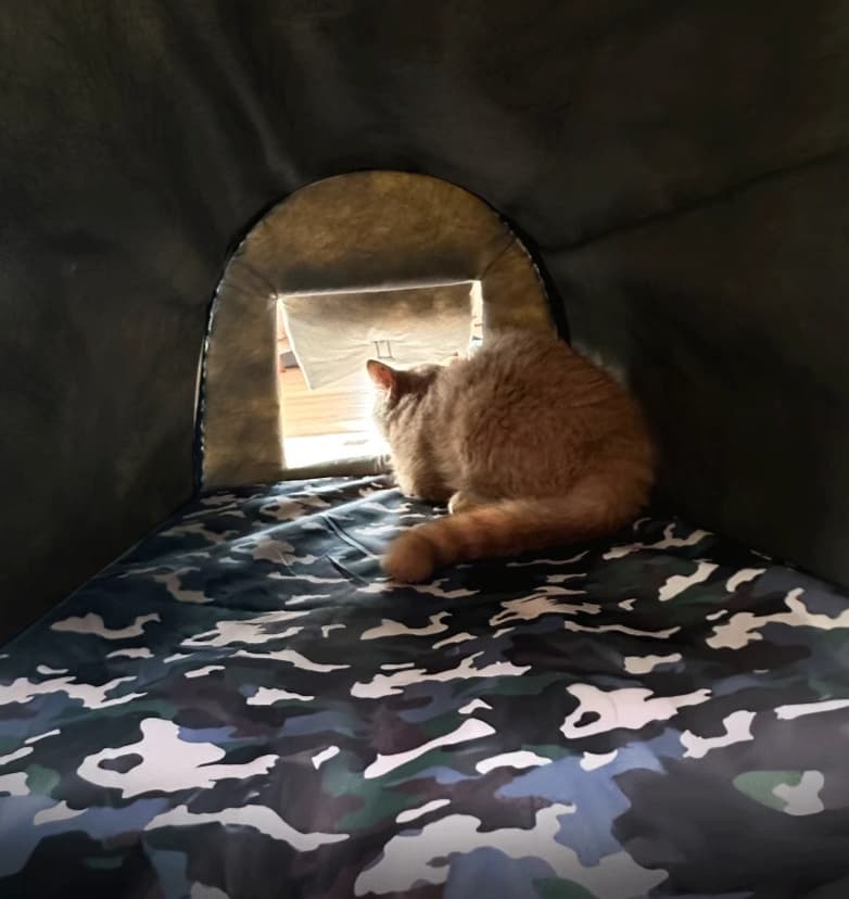 ペットマット 猫用 ドーム型ペットハウス