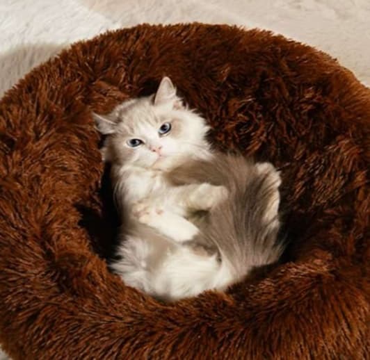 ペットマット 猫用 もふもふ贅沢ドーナツベッド