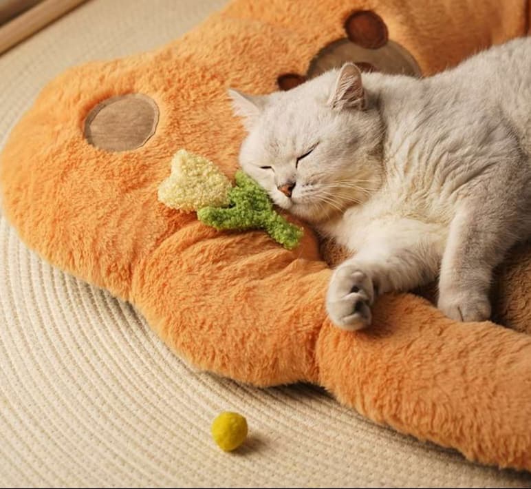 ペットマット 猫用 ふかふか夢ごこちマット