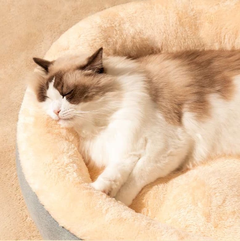 ペットマット 猫用 ふかふか極上もこもこマット