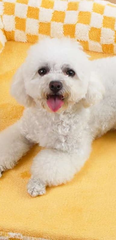 ペットマット 犬用 ふかふか包み込みマット
