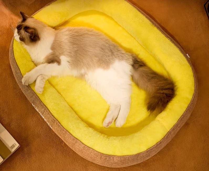 ペットマット 猫用 もふもふ包み込みペットクッション