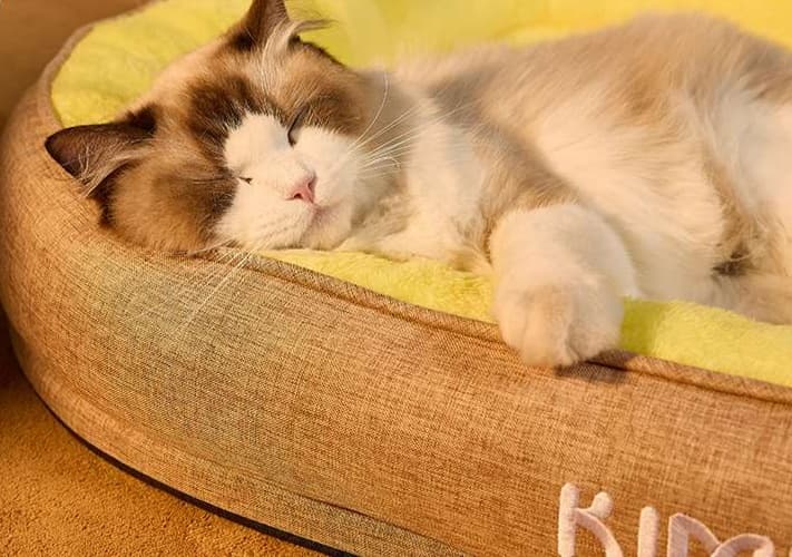 ペットマット 猫用 もふもふ包み込みペットクッション
