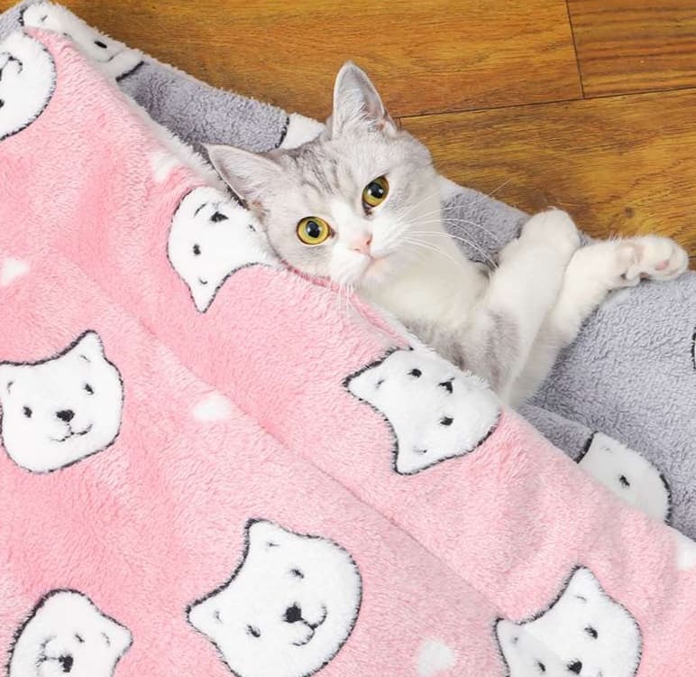 ペットマット 猫用 ふんわりフリル付きマット