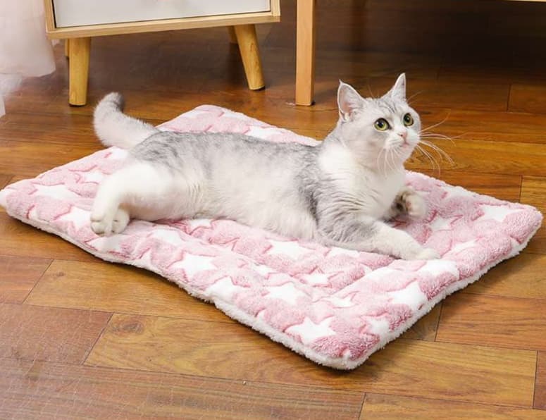 ペットマット 猫用 ふんわりフリル付きマット