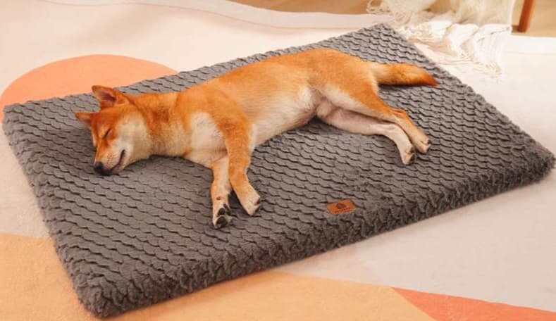 ペットマット 犬猫兼用 ふかふか快適ペットマット