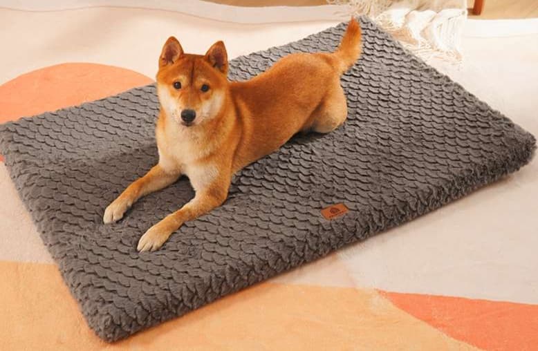 ペットマット 犬猫兼用 ふかふか快適ペットマット