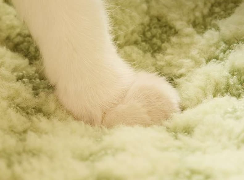 ペットマット 猫用 ふわもこ包みこみマット