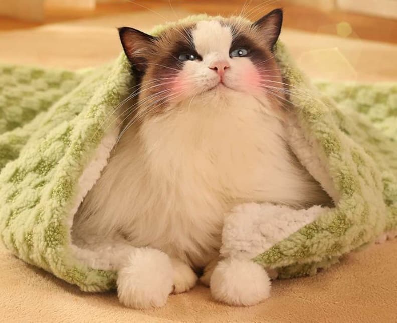 ペットマット 猫用 ふわもこ包みこみマット