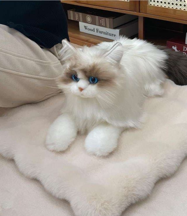 ペットマット 猫用 もこもこ雲型マット