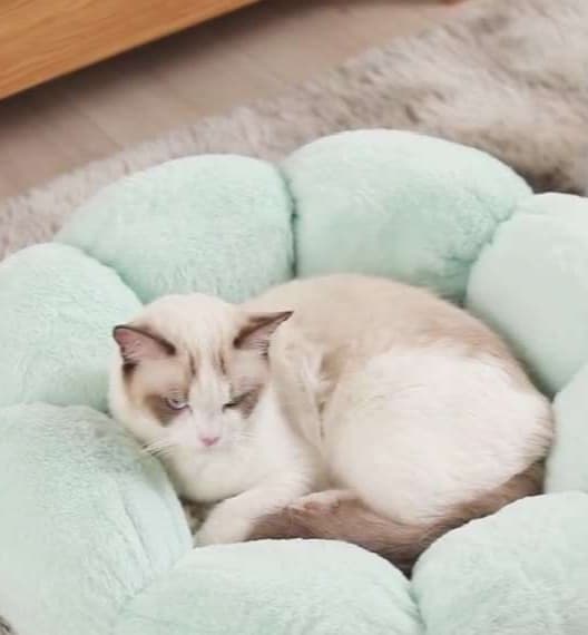 ペットマット 猫用 もこもこ温泉マット