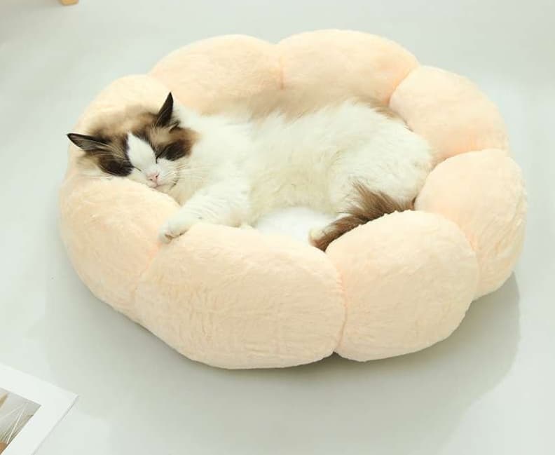 ペットマット 猫用 もこもこ温泉マット