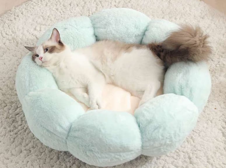 ペットマット 猫用 もこもこ温泉マット