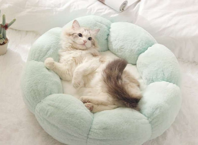 ペットマット 猫用 もこもこ温泉マット