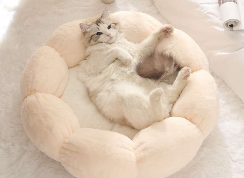 ペットマット 猫用 もこもこ温泉マット