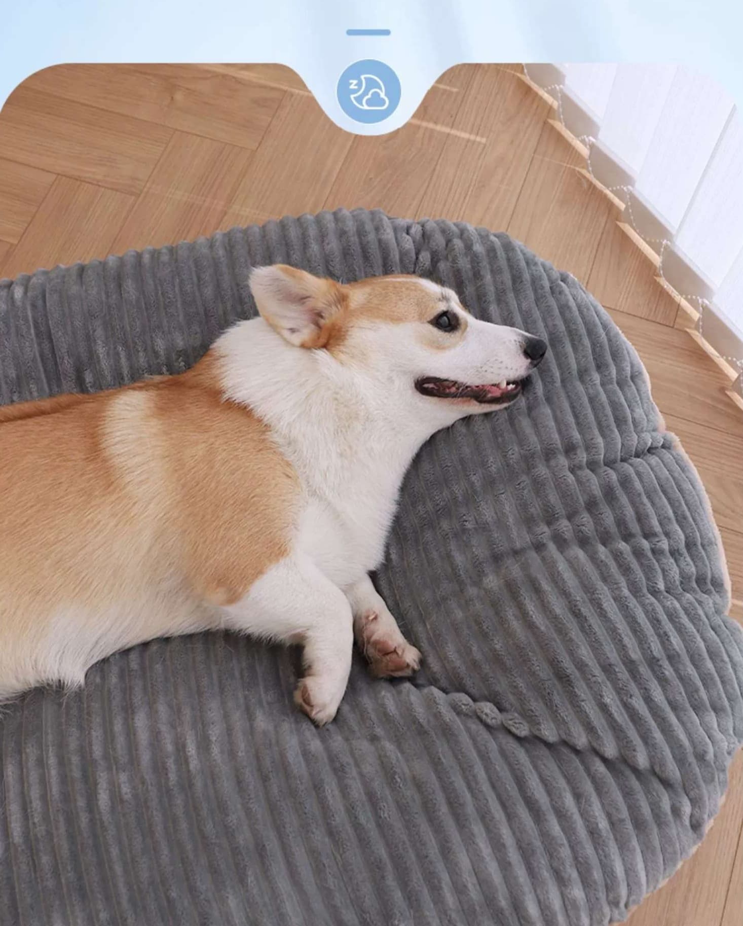 ペットマット 犬用 もこもこ寛ぎマット