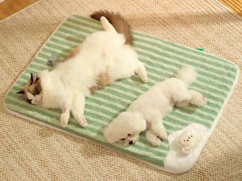 ペットマット 犬用 ひんやり快適マット