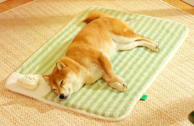 ペットマット 犬用 ひんやり快適マット