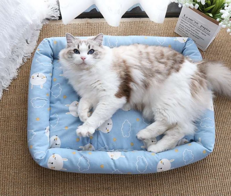 ペットマット 猫用 ふんわりもこもこマット