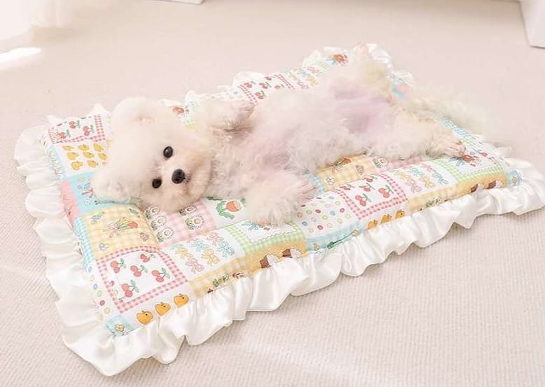 ペットマット 犬用 ふんわりフリル付きマット