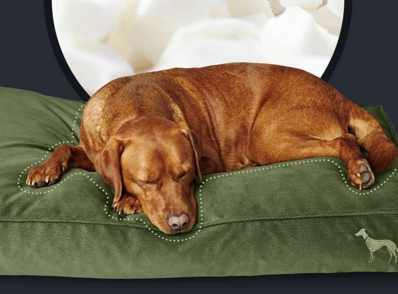 ペットマット 犬用 匠の技 ふかふか整圧マット