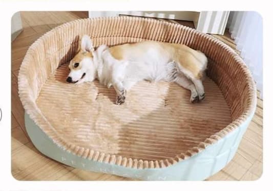 ペットマット 犬用 オールシーズン ふわもこマット
