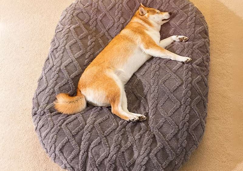 ペットマット 犬用 ふんわりキルト模様のペット寝具