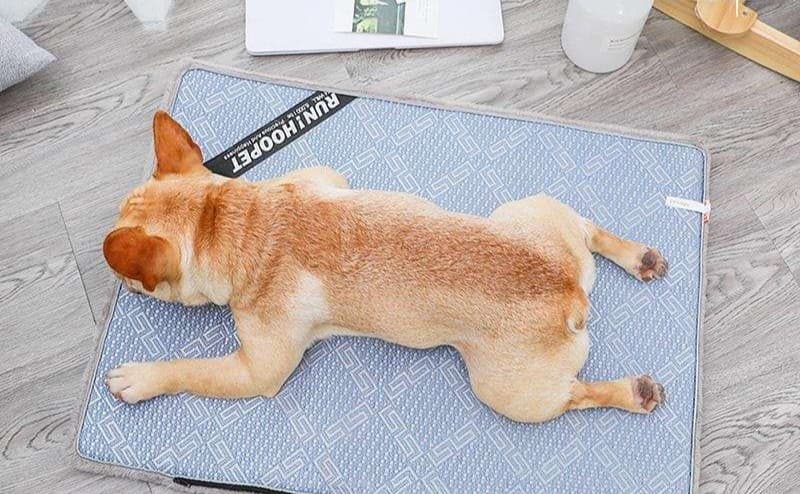 ペットマット 犬用 ふかふか両面洗えるリラックスマット