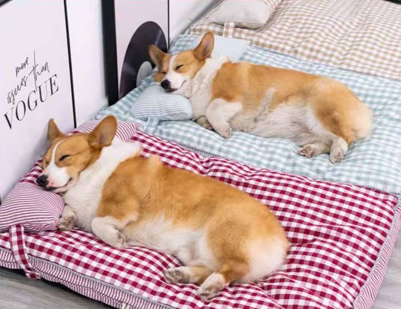 ペットマット 犬猫兼用 ふわもこマット デラックス