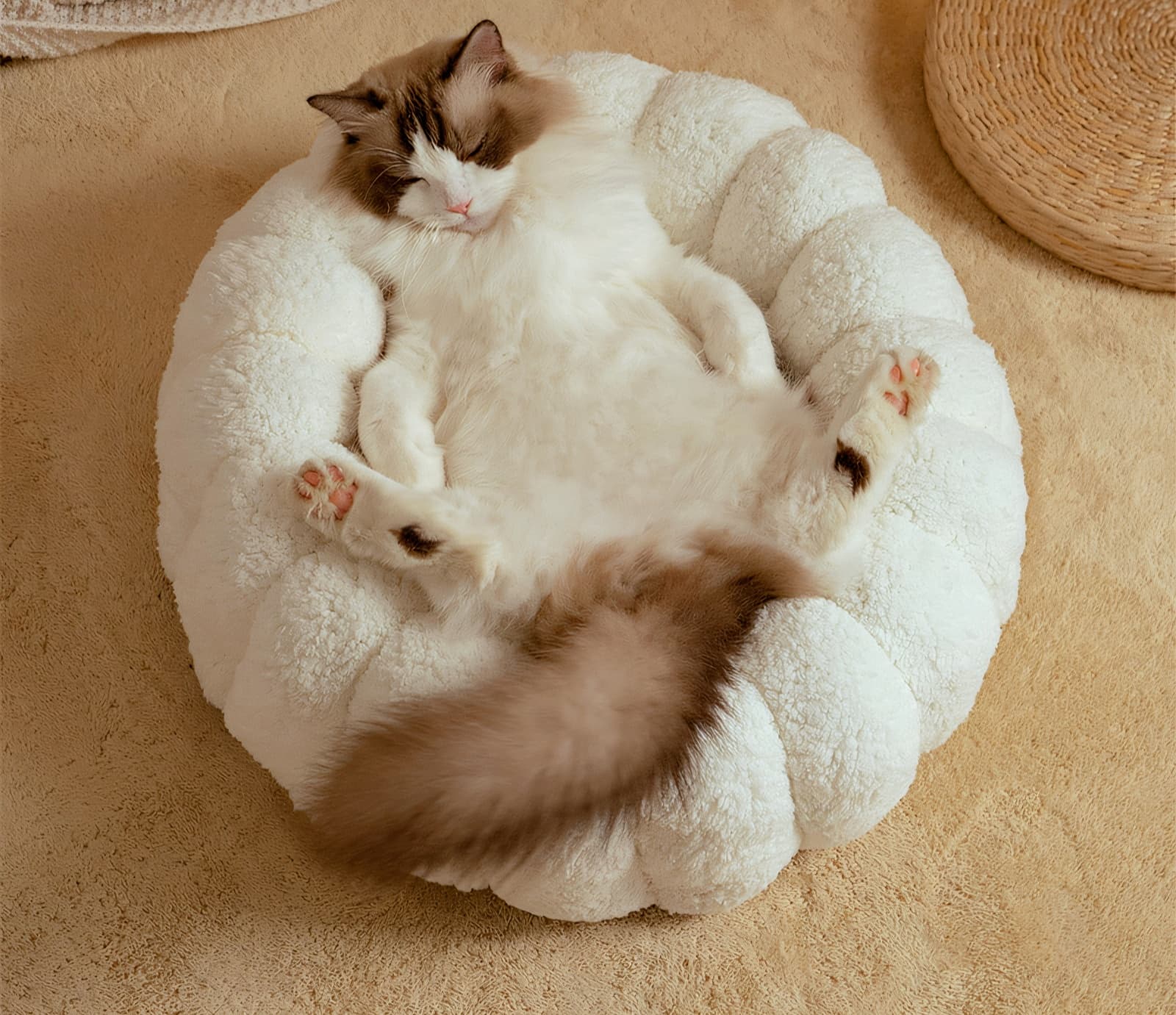 ペットマット 猫用 もこもくぬくぬくまんまるベッド
